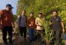 Reses Muhammad Mansur di Desa Persiapan Ujang Fatimah Diawali Penanaman Tunas Kelapa di Kawasan Wisata Mangrove