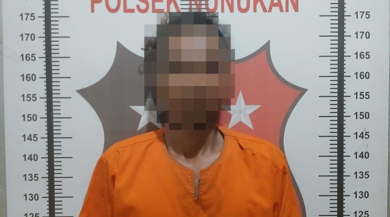 DIDUGA CABULI ANAK KANDUNG BERULANG, PRIA DI NUNUKAN DIAMANKAN POLISI