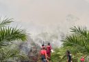 Asap Karhutla Mulai Ganggu Kualitas Udara, Dishut Imbau Warga Waspada