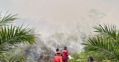 Asap Karhutla Mulai Ganggu Kualitas Udara, Dishut Imbau Warga Waspada