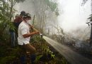 Gubernur Turun Langsung Padamkan Karhutla di Selimau
