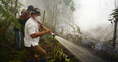Gubernur Turun Langsung Padamkan Karhutla di Selimau