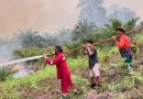 Dishut Perkuat Kesiapsiagaan, 282 Hotspot Terdeteksi hingga September