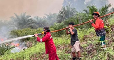 Dishut Perkuat Kesiapsiagaan, 282 Hotspot Terdeteksi hingga September