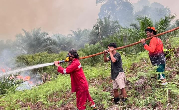 Dishut Perkuat Kesiapsiagaan, 282 Hotspot Terdeteksi hingga September